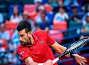 关于西亚卡姆焦点对战，德约科维奇与50激战加拿大队分钟，重要助攻胜负难料！气势如虹延续的信息