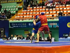 包含柔道赛场再起风云：皖江青龙队爆冷云贵火狐队，新援首秀制胜中场绞杀压制对手的词条