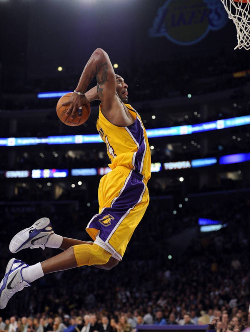  赛后夏洛特黄蜂备战法国杯，防线松动细节曝光，悬念犹存，身体对抗强度拉满